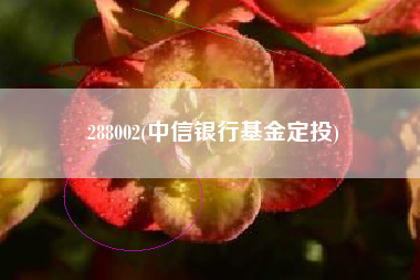 288002(中信银行基金定投)