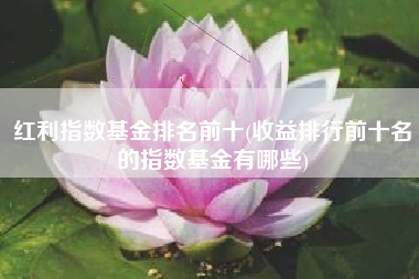 红利指数基金排名前十(收益排行前十名的指数基金有哪些)