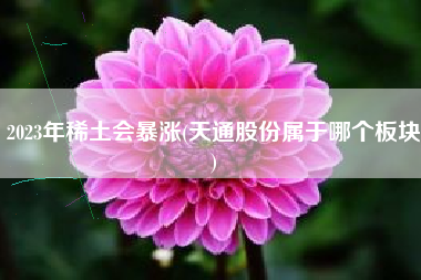 2023年稀土会暴涨(天通股份属于哪个板块)