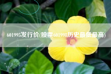 601995发行价(股票601998历史最低最高)