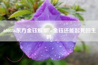 600086东方金钰股票(st金钰还能起死回生吗)