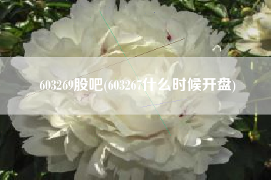 603269股吧(603267什么时候开盘)