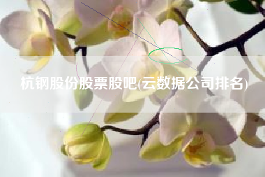 杭钢股份股票股吧(云数据公司排名)