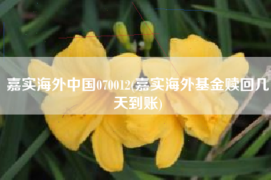 嘉实海外中国070012(嘉实海外基金赎回几天到账)