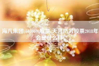 海汽集团(603069)股票(天河防务股票2018年会是什么样)