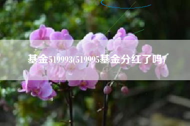 基金519993(519995基金分红了吗)