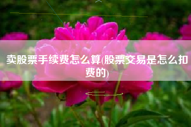 卖股票手续费怎么算(股票交易是怎么扣费的)