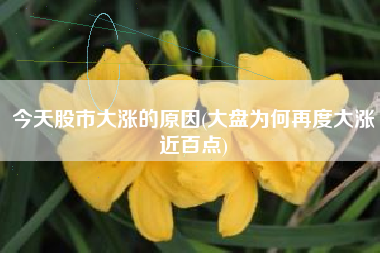 今天股市大涨的原因(大盘为何再度大涨近百点)