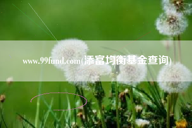 www.99fund.com(添富均衡基金查询)