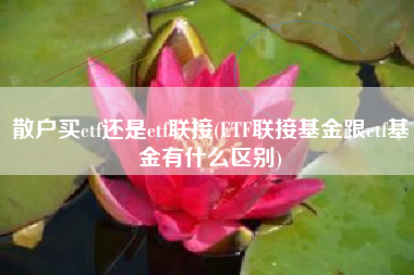 散户买etf还是etf联接(ETF联接基金跟etf基金有什么区别)