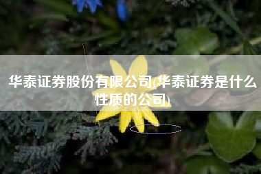 华泰证券股份有限公司(华泰证券是什么性质的公司)