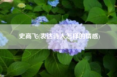 史高飞(表达诗人怎样的情感)