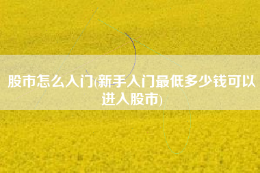 股市怎么入门(新手入门最低多少钱可以进入股市)