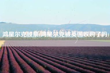 鸿星尔克股票(鸿星尔克被英国收购了吗)