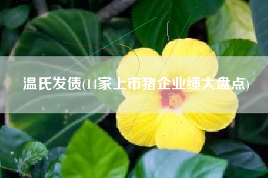 温氏发债(14家上市猪企业绩大盘点)