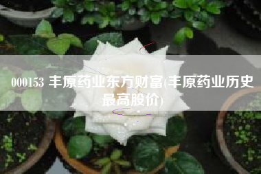 000153 丰原药业东方财富(丰原药业历史最高股价)
