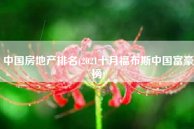 中国房地产排名(2021十月福布斯中国富豪榜)