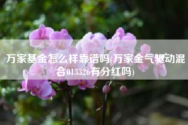 万家基金怎么样靠谱吗(万家金气驱动混合013326有分红吗)