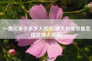 一澳元等于多少人民币(澳大利亚币是怎样兑换人民币)