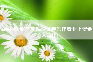 600664资金流向(海通证券怎样看北上资金流入流出)