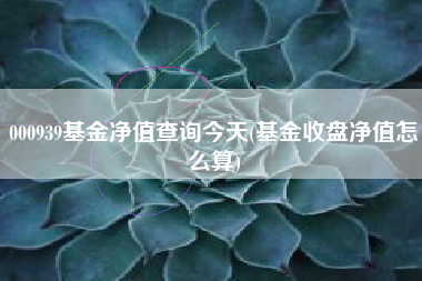 000939基金净值查询今天(基金收盘净值怎么算)