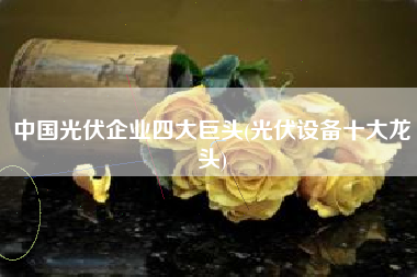 中国光伏企业四大巨头(光伏设备十大龙头)