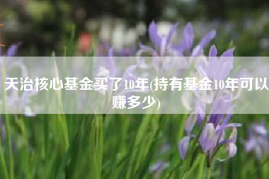 天治核心基金买了10年(持有基金10年可以赚多少)