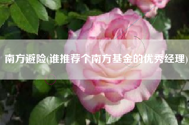 南方避险(谁推荐个南方基金的优秀经理)
