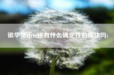 银华货币b(还有什么确定性的板块吗)