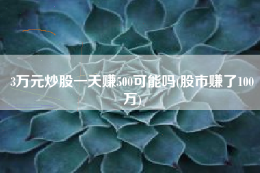 3万元炒股一天赚500可能吗(股市赚了100万)