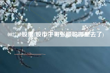 002719股票(股市牛哥张顺聪哪里去了)