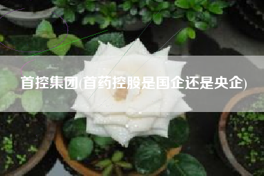 首控集团(首药控股是国企还是央企)