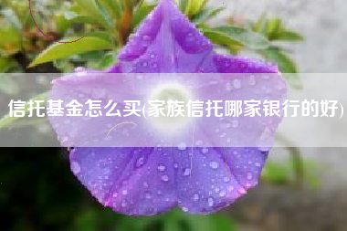 信托基金怎么买(家族信托哪家银行的好)