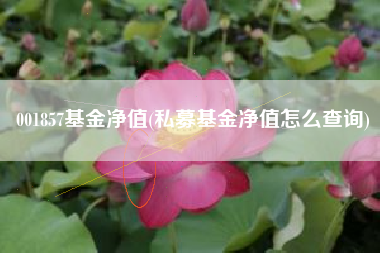 001857基金净值(私募基金净值怎么查询)