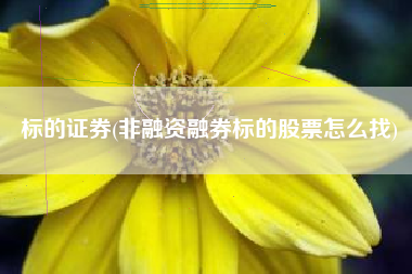 标的证券(非融资融券标的股票怎么找)