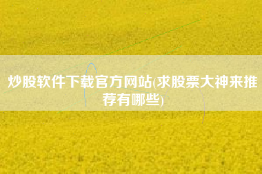 炒股软件下载官方网站(求股票大神来推荐有哪些)