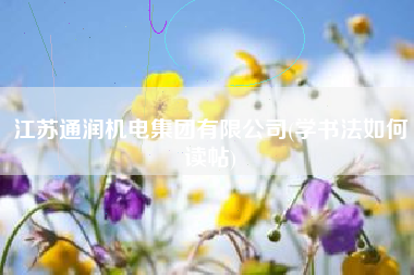 江苏通润机电集团有限公司(学书法如何读帖)