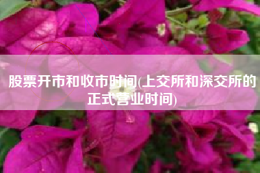 股票开市和收市时间(上交所和深交所的正式营业时间)