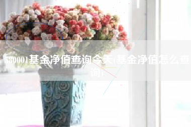 580001基金净值查询今天(基金净值怎么查询)