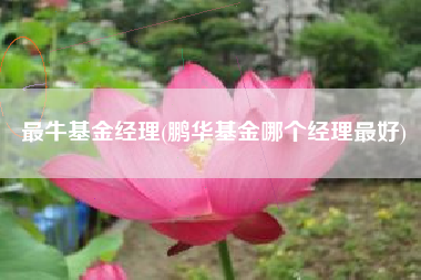 最牛基金经理(鹏华基金哪个经理最好)