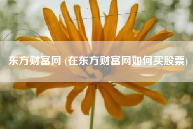 东方财富网 (在东方财富网如何买股票)