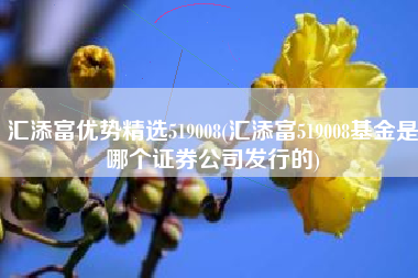 汇添富优势精选519008(汇添富519008基金是哪个证券公司发行的)