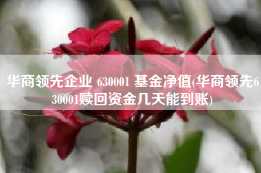 华商领先企业 630001 基金净值(华商领先630001赎回资金几天能到账)