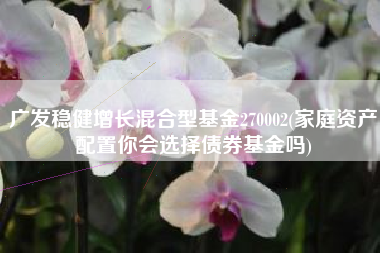 广发稳健增长混合型基金270002(家庭资产配置你会选择债券基金吗)