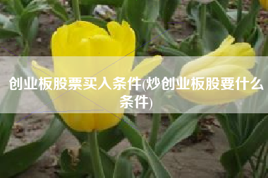 创业板股票买入条件(炒创业板股要什么条件)