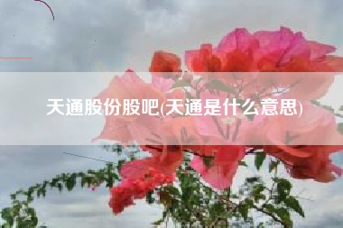 天通股份股吧(天通是什么意思)