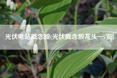 光伏电站概念股(光伏概念股龙头一r览)