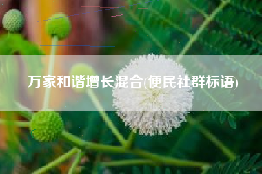 万家和谐增长混合(便民社群标语)