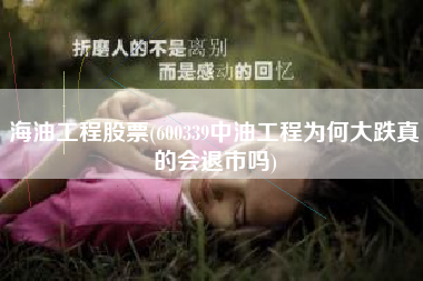 海油工程股票(600339中油工程为何大跌真的会退市吗)