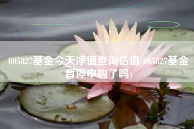 005827基金今天净值查询估值(005827基金暂停申购了吗)